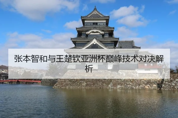 张本智和与王楚钦亚洲杯巅峰技术对决解析